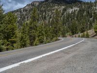 a curve road through a forest with a mountain range in the distance in the background