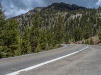 a curve road through a forest with a mountain range in the distance in the background