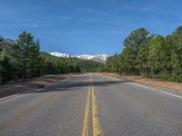 an empty road with lots of trees in the background in the wild region of colorado