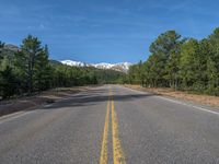 an empty road with lots of trees in the background in the wild region of colorado