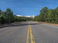 an empty road with lots of trees in the background in the wild region of colorado