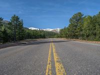 an empty road with lots of trees in the background in the wild region of colorado