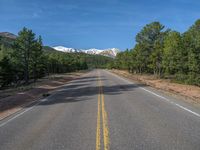 an empty road with lots of trees in the background in the wild region of colorado