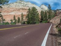 USA Scenic Road: Exploring Zion National Park