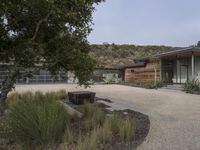 Suburban House in the USA: Surrounded by a Vineyard