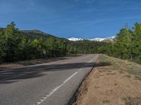 an empty road with lots of trees in the background in the wild region of colorado