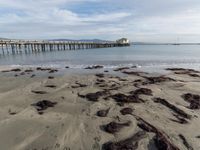 USA Tourist Attractions: Exploring San Francisco's Coastal Areas