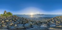 a bunch of rocks on the edge of the water next to rocks on the shoreline and a tree near the water and the city