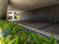 green plants line the walkway next to an office building structure with windows, grass and gravel