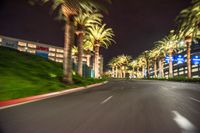 a blurry image of a busy street with some palm trees at night time in an area full of shops