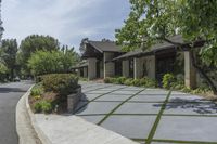 Urban Home in USA: Tree-lined Walkway