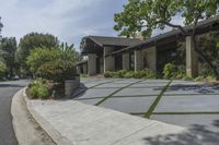 Urban Home in USA: Tree-lined Walkway