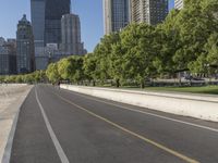 empty road with several trees on both sides and large buildings in the distance, downtown skyline
