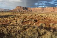 a rainbow appears over the mountains and desert landscape of the usa states with brown grasses and dead trees