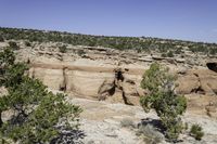 rocks and trees grow on a rocky hillside in the desert near an open sky line