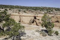 rocks and trees grow on a rocky hillside in the desert near an open sky line