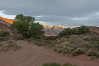 a mountain in the distance with trees and bushes around it in the foreground, is a dirt road, with mountains in the distance, in the distance