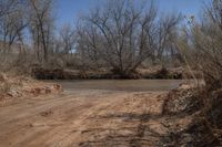 a dirty, dirt road with a river behind it and trees around the intersection behind