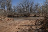 a dirty, dirt road with a river behind it and trees around the intersection behind