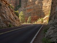 USA's Utah: Majestic Landscape of Zion National Park