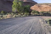 USA Utah: Mountain Grass and Asphalt Road