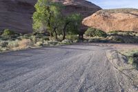 USA Utah: Mountain Grass and Asphalt Road