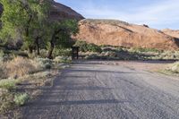 USA Utah: Mountain Grass and Asphalt Road