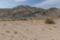 there are mountains in the background of this desert landscape, with grass and weeds surrounding them