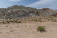 there are mountains in the background of this desert landscape, with grass and weeds surrounding them