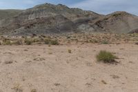 there are mountains in the background of this desert landscape, with grass and weeds surrounding them