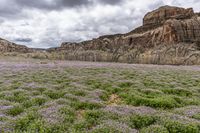 USA's Utah: Mountains and Open Grassy Spaces