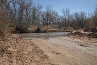 a dirty dirt road is next to some grass and trees on a plain, with the river partially water