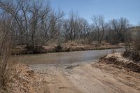 a dirty dirt road is next to some grass and trees on a plain, with the river partially water