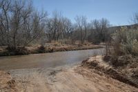 a dirty dirt road is next to some grass and trees on a plain, with the river partially water