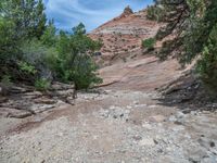 rocky dirt trail with rock and trees next to it, with mountain in background, with trees along side