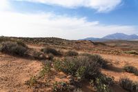 USA Utah Red Rock Landscape 001