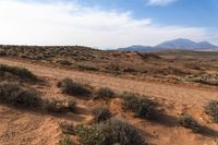 USA Utah Red Rock Landscape