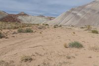 a man is standing in the desert holding a remote control device in his hand and a dog nearby