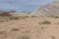 a man is standing in the desert holding a remote control device in his hand and a dog nearby