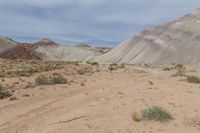 a man is standing in the desert holding a remote control device in his hand and a dog nearby