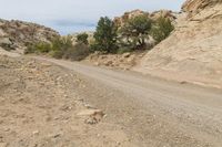 a person riding a dirt bike down a dirt road through mountains with trees and rocks