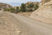 a person riding a dirt bike down a dirt road through mountains with trees and rocks