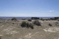 a barren field with rocks and scrub grass in the background on a partly clear day