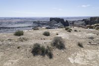 a barren field with rocks and scrub grass in the background on a partly clear day