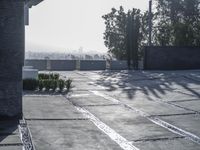 the exterior and landscape of a modern house in los angeles, california with stone and wood