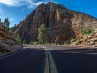 USA's Zion National Park: A Straight Road Through Scenic Beauty