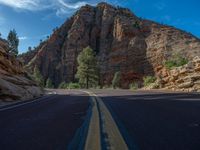 USA's Zion National Park: A Straight Road Through Scenic Beauty