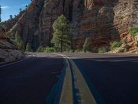 USA's Zion National Park: A Straight Road Through Scenic Beauty