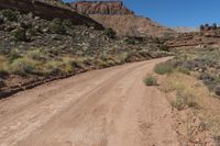 dirt road with bushes, shrubs and desert mountains in the background - image jpg