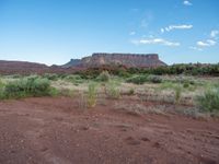 Exploring an Open Space: Utah's Canyon Filled with Grass